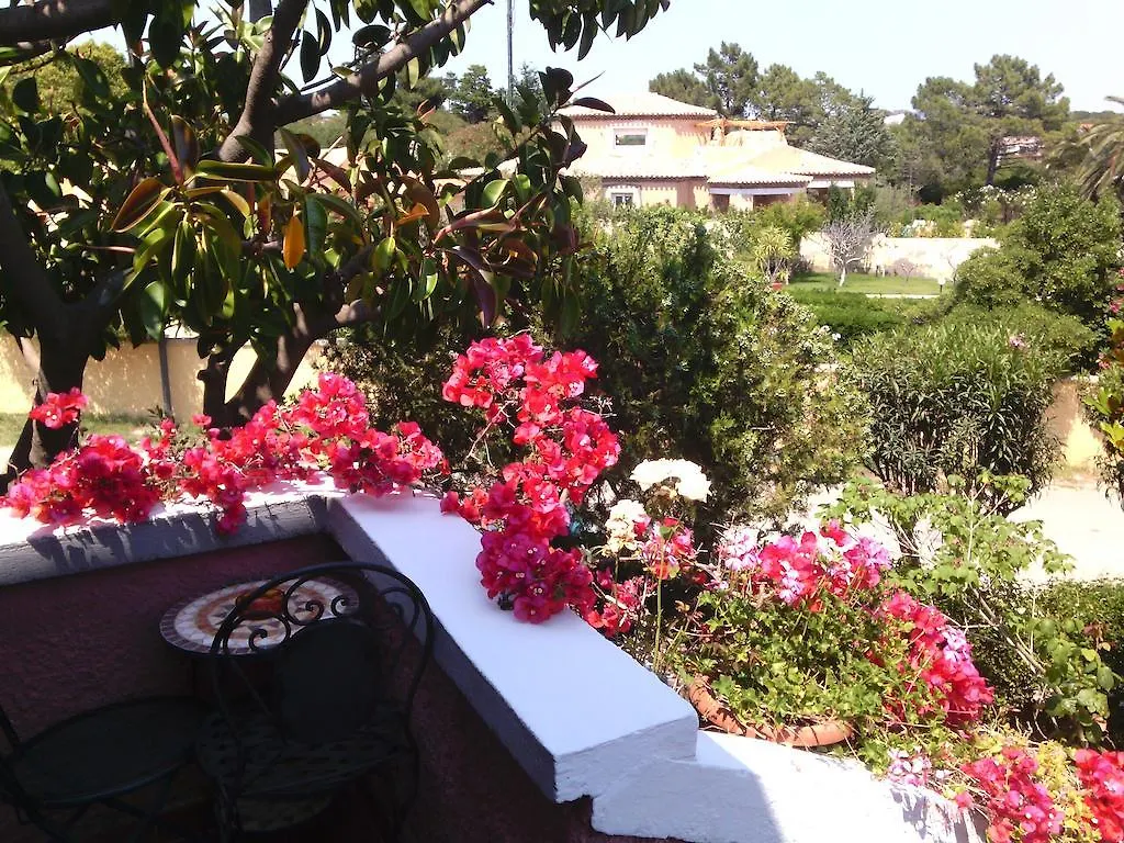 Hotel Abbaruja Olbia 3*,
